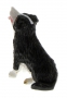 AT Collections 32116 - Border Collie hinten