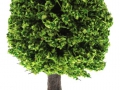 Brushwood Toys BT3025 - Obstbaum klein
