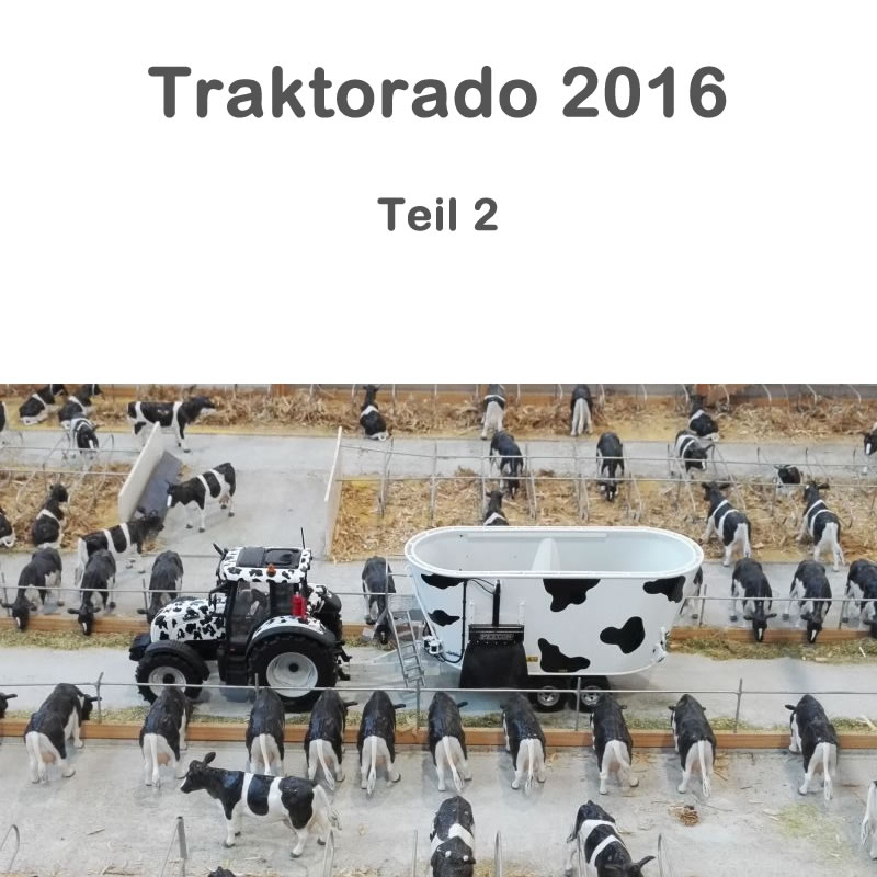 Traktorado 2016 in Husum - Teil 2